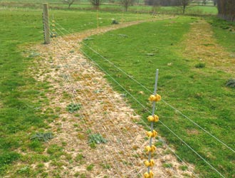 a secure, electric fence
