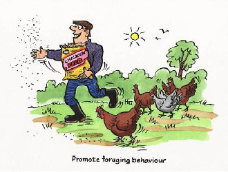 Promote foraging behaviour